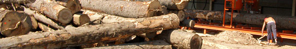 drewno kominkowe rzeszów